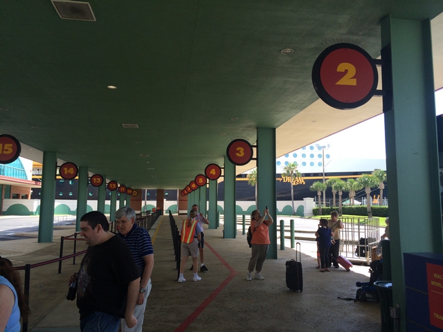 Disney-Cruise-Line-Bus-Terminal