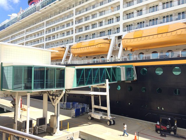 Disney Cruise Line Cruise Terminal Observation Deck 2