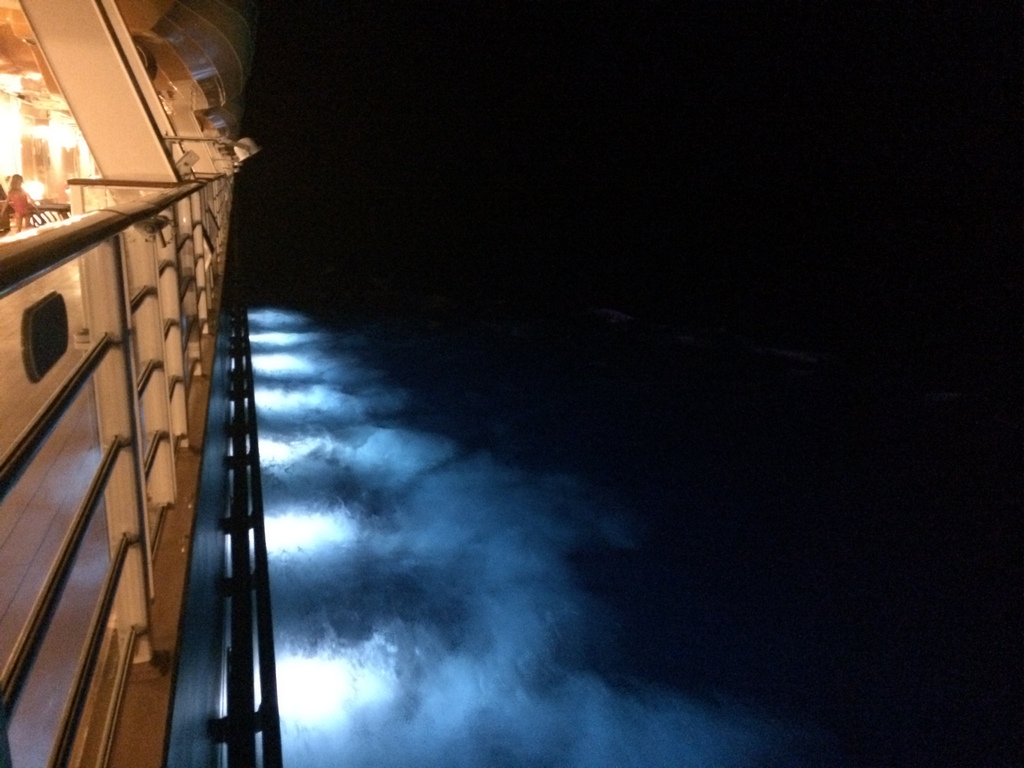 Disney-Cruise-Dream-Night-SeaView