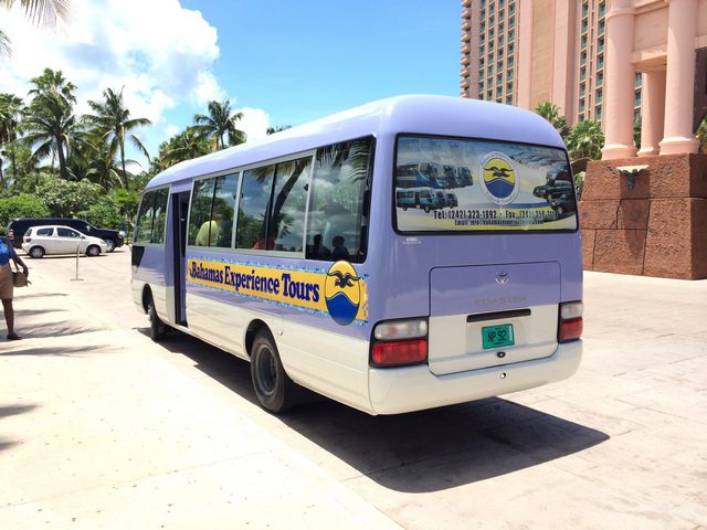 Disney Cruise Dream Port Adventure Return Passenger Bus