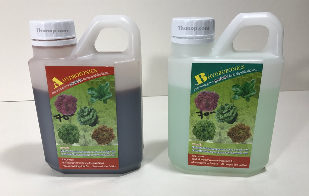 Hydroponic Vegetable in Bottle Featured Image