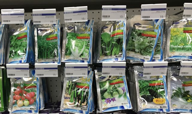 Hydroponic Vegetable Seed Package on Shelf