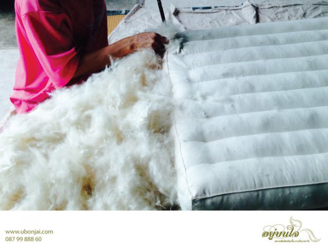 Mattredd and Bed Article Kapok Mattress Production