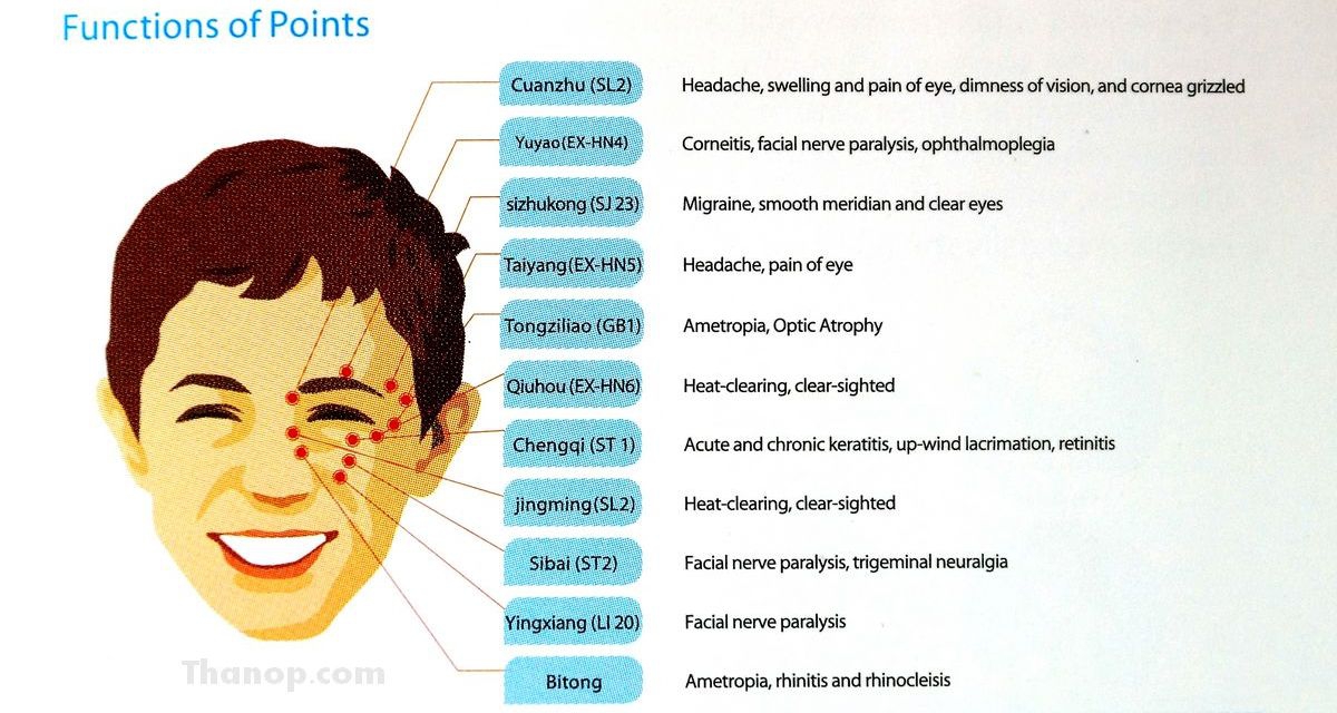 rester-isee-function-of-point-on-face