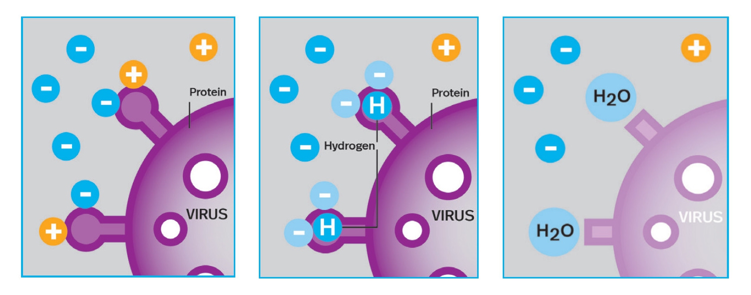 lightair-ionflow-technology-virus-desturction-steps