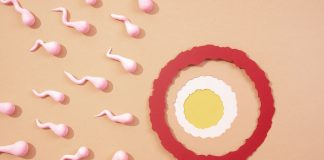 การทำ IUI คืออะไร ? วิธีทำ IUI สำหรับผู้มีบุตรยากให้สำเร็จ พร้อมแนะนำขั้นตอนโดย BCC What is IUI Fertility Treatment by BCC Article Featured Image