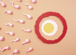 การทำ IUI คืออะไร ? วิธีทำ IUI สำหรับผู้มีบุตรยากให้สำเร็จ พร้อมแนะนำขั้นตอนโดย BCC What is IUI Fertility Treatment by BCC Article Featured Image